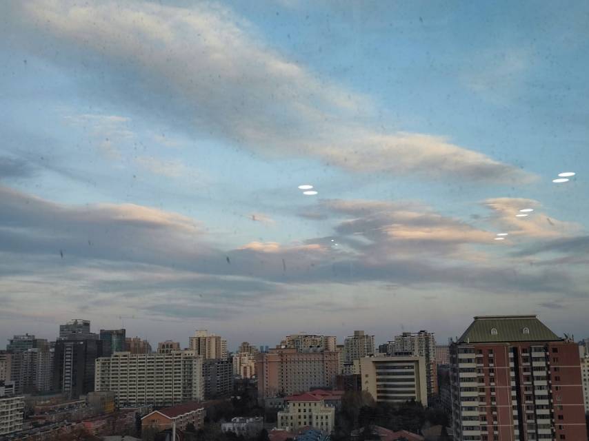 找生活老伴搭子