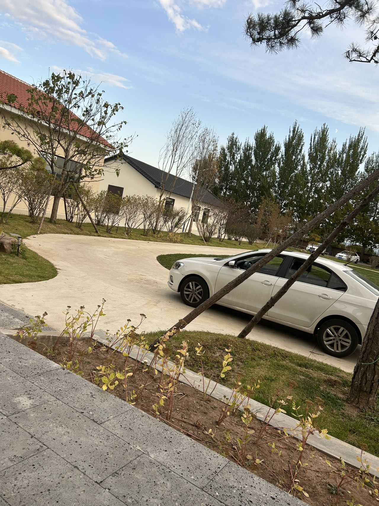 找聊天老伴搭子