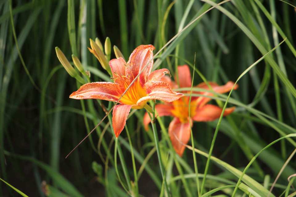 找运动老伴搭子