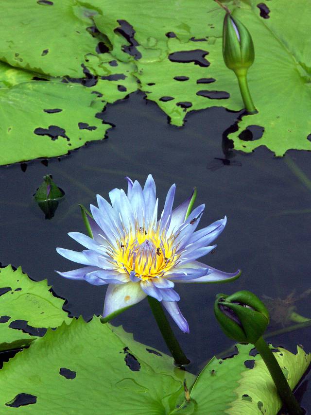 找旅行健身徒步玩乐老伴搭子