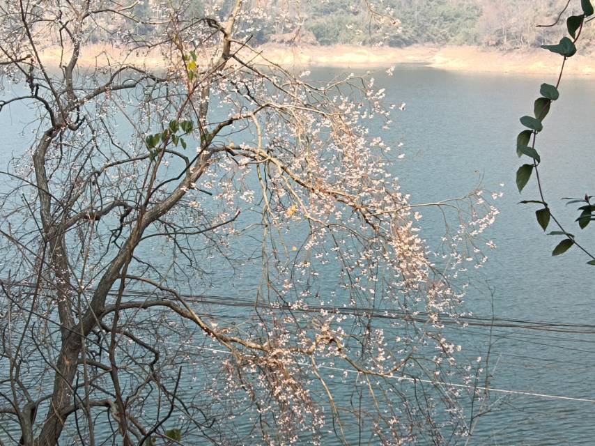 找旅行健身徒步玩乐老伴搭子