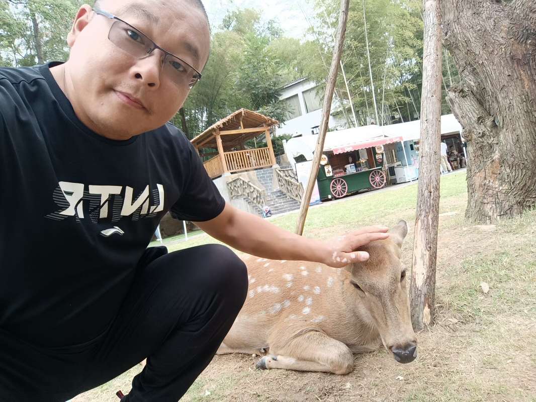 找聊天老伴搭子