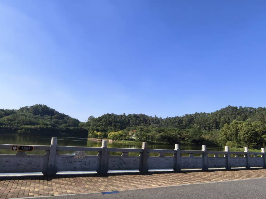 找聊天散步老伴搭子