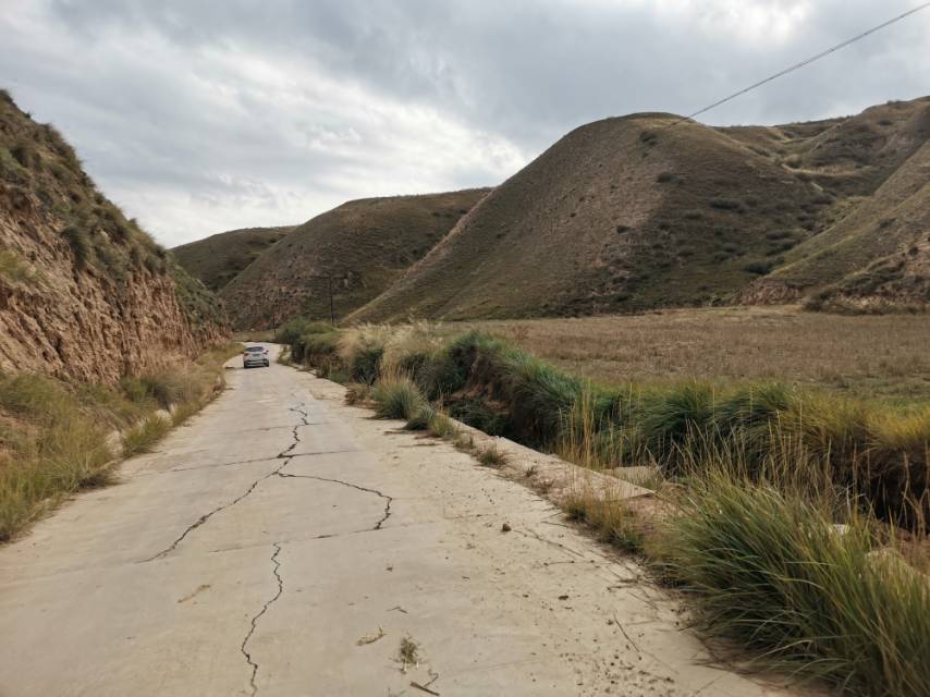 找跳舞老伴搭子