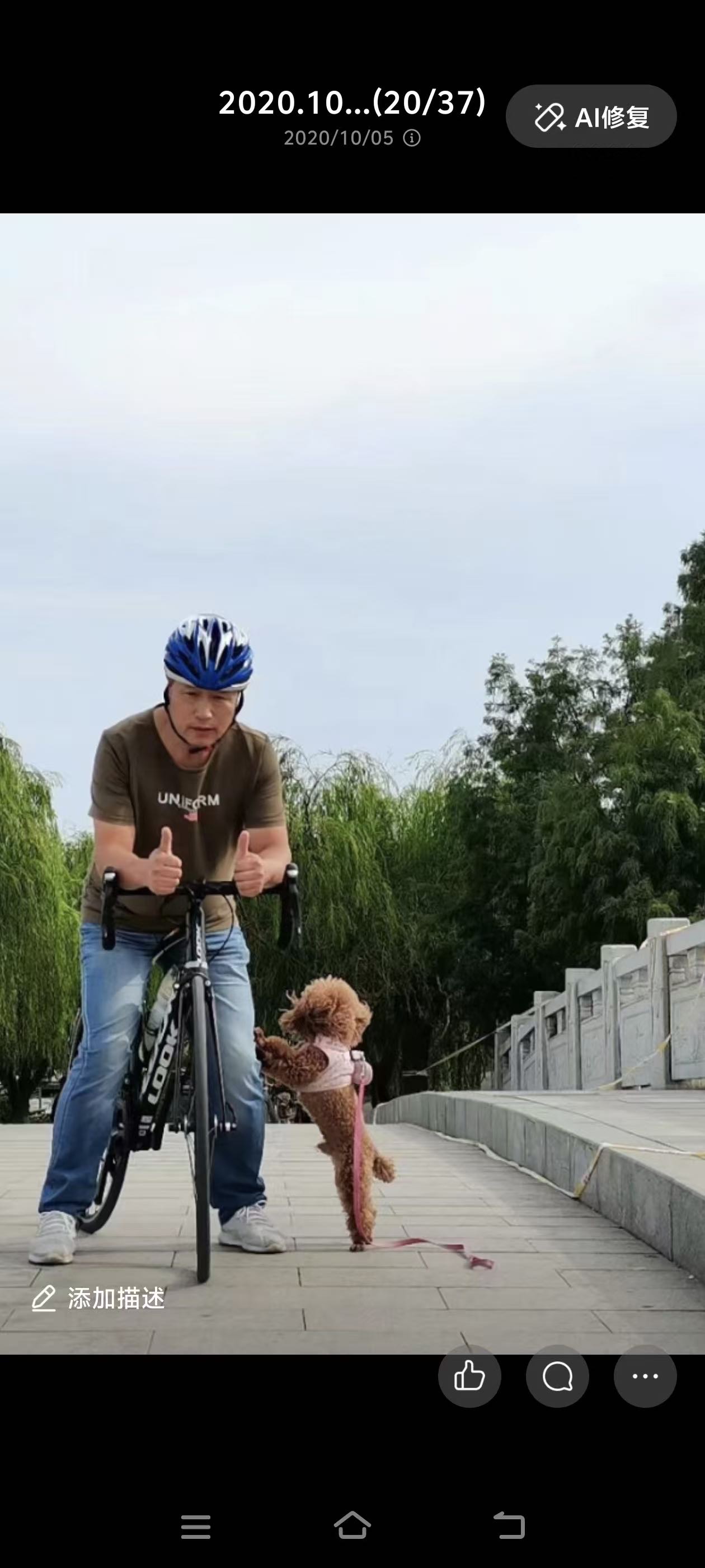 找自驾游老伴搭子