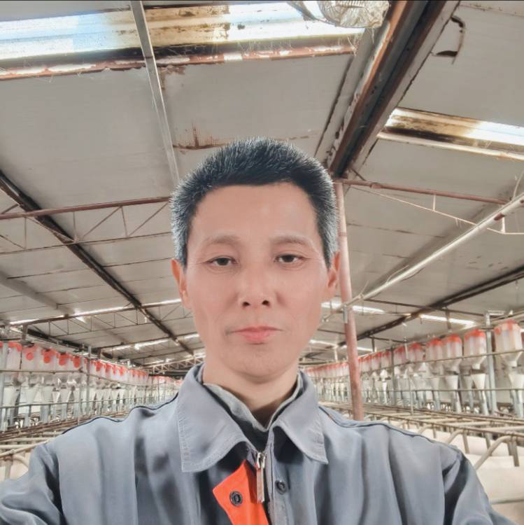 找聊天陪伴老伴搭子