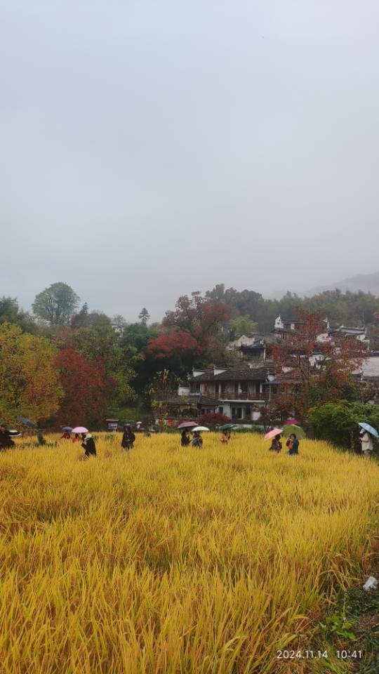 找生活老伴搭子