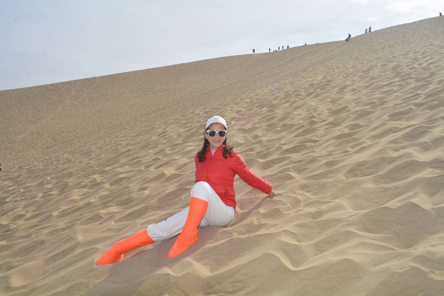 找过日子老伴搭子