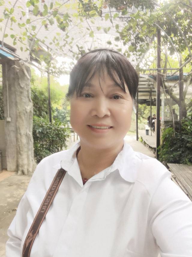 找三餐四季陪伴的老伴搭子