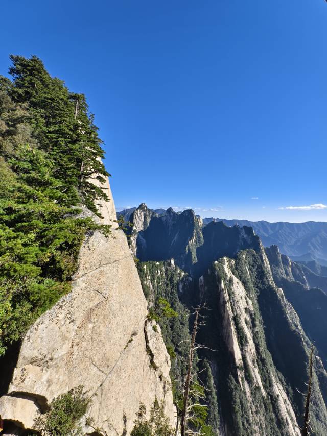 找日常陪伴老伴搭子