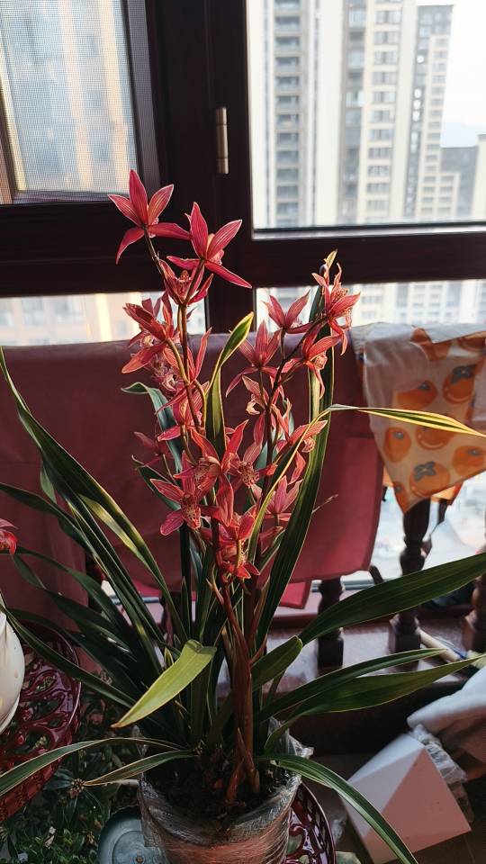 找旅游老伴搭子