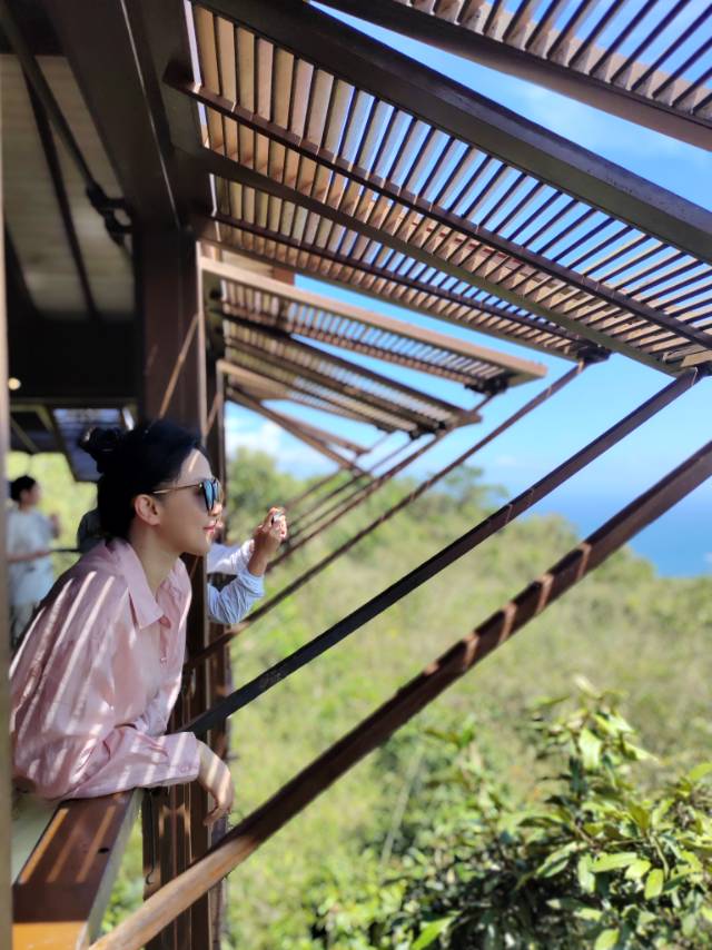 找散步老伴搭子