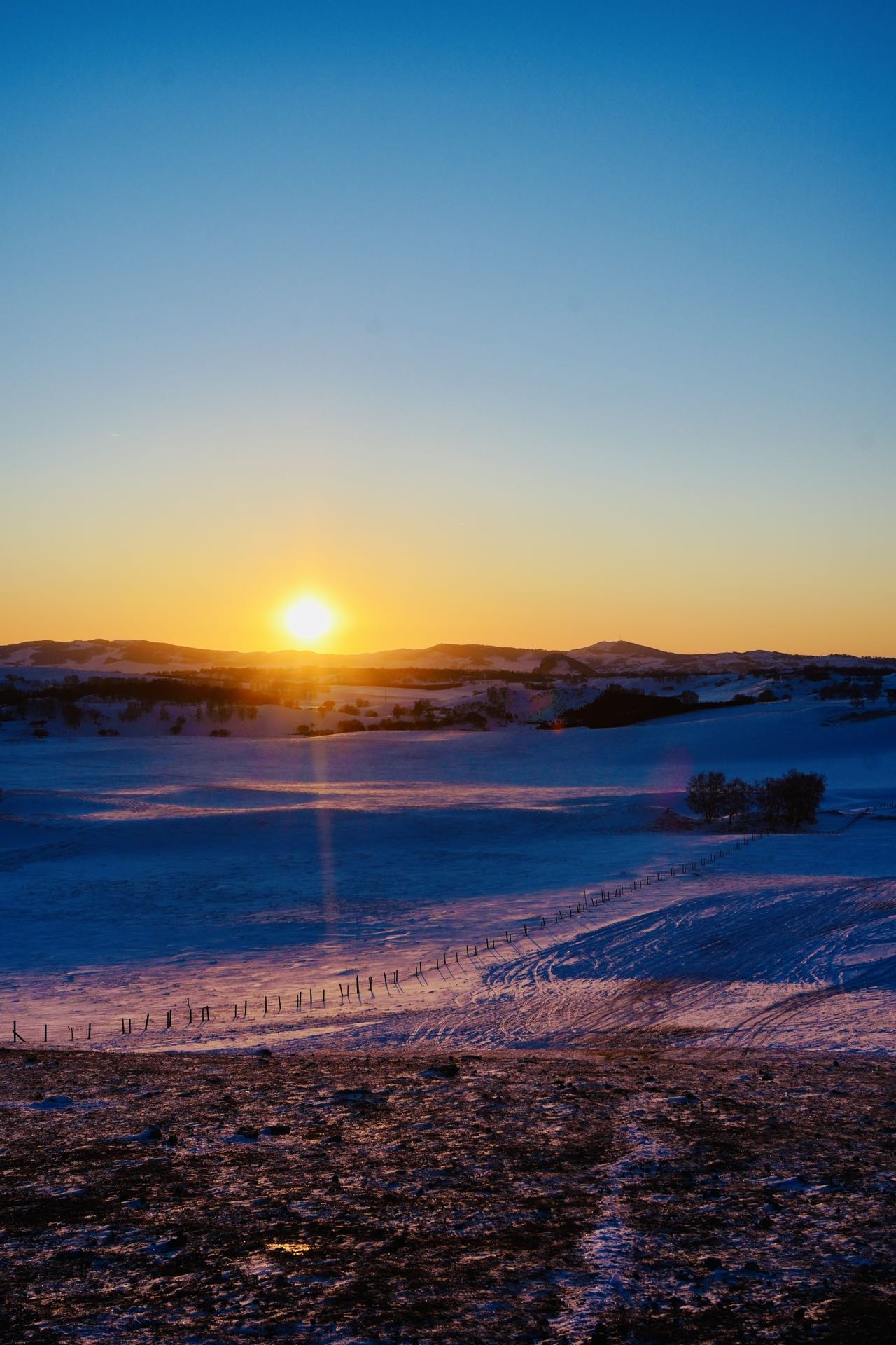 找有思想的老伴搭子
