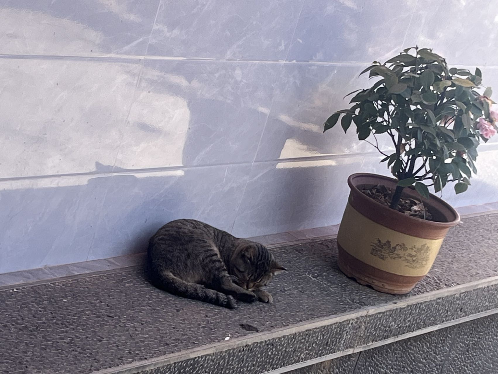 找吃饭老伴搭子