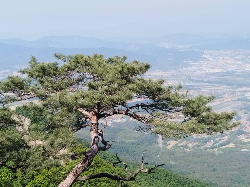 找旅行老伴搭子