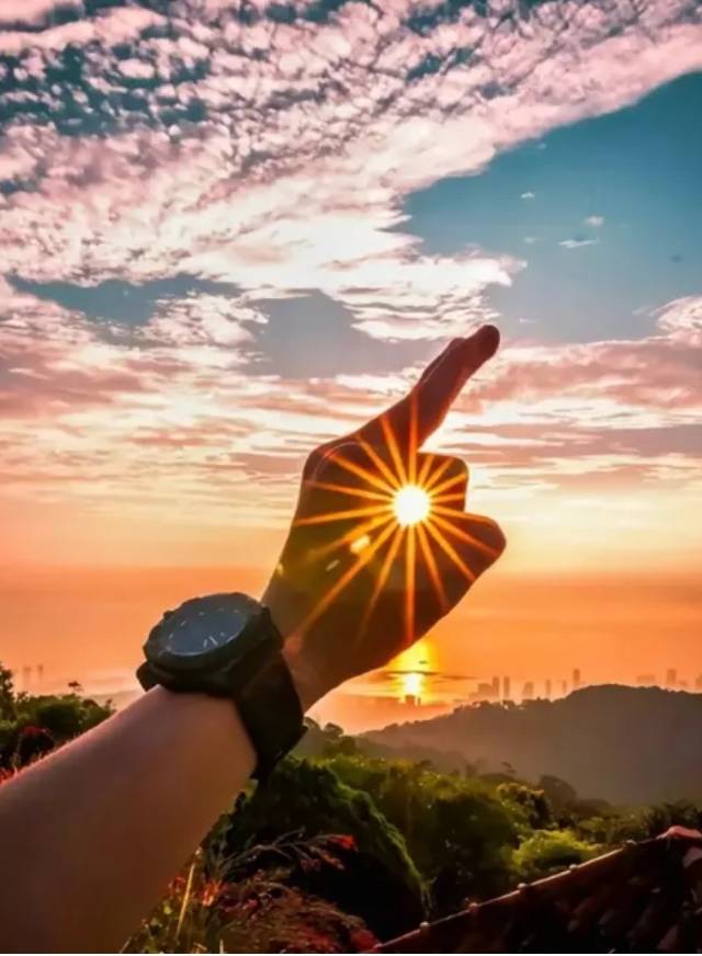 找聊天老伴搭子