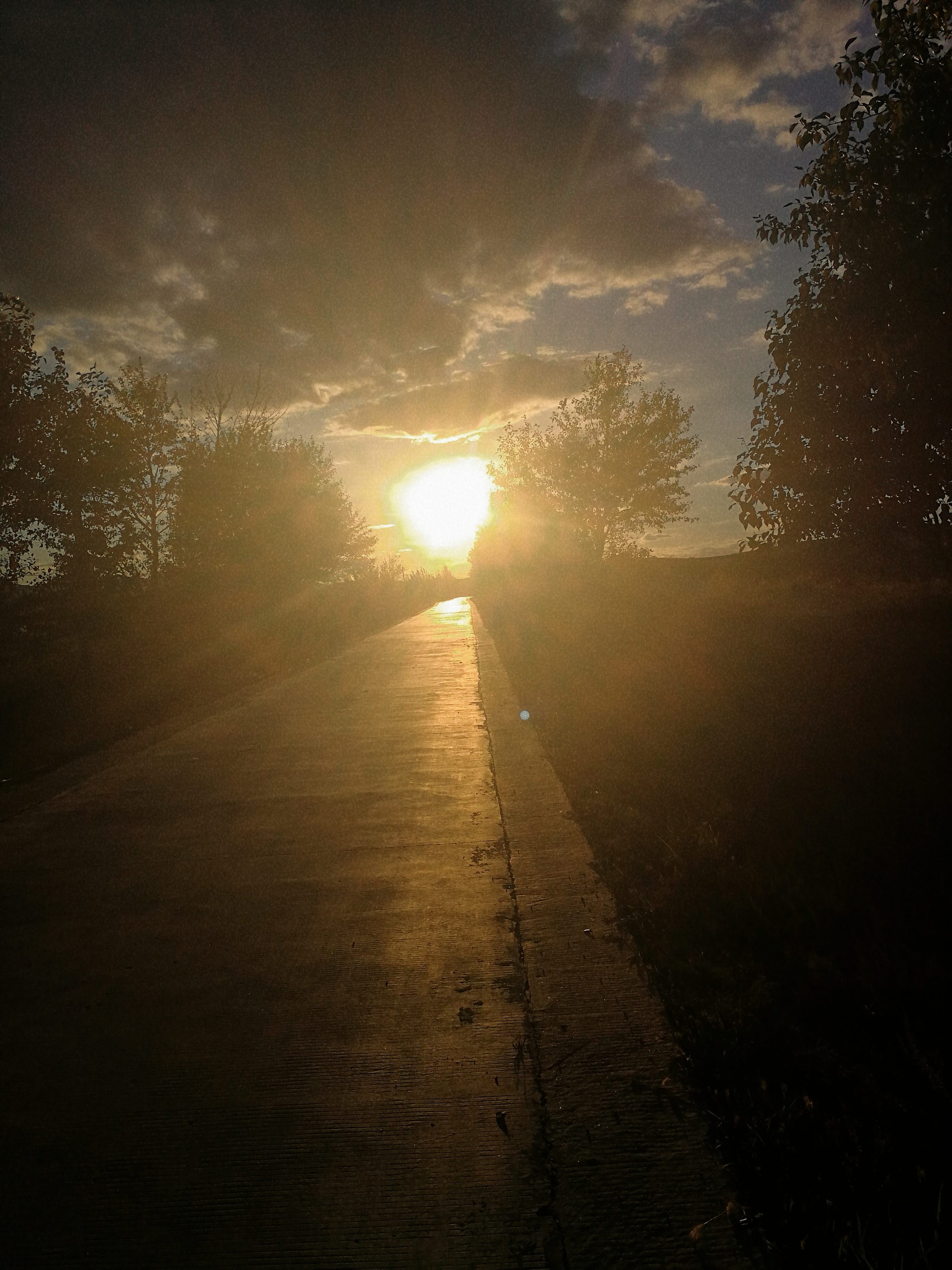 找溜达老伴搭子