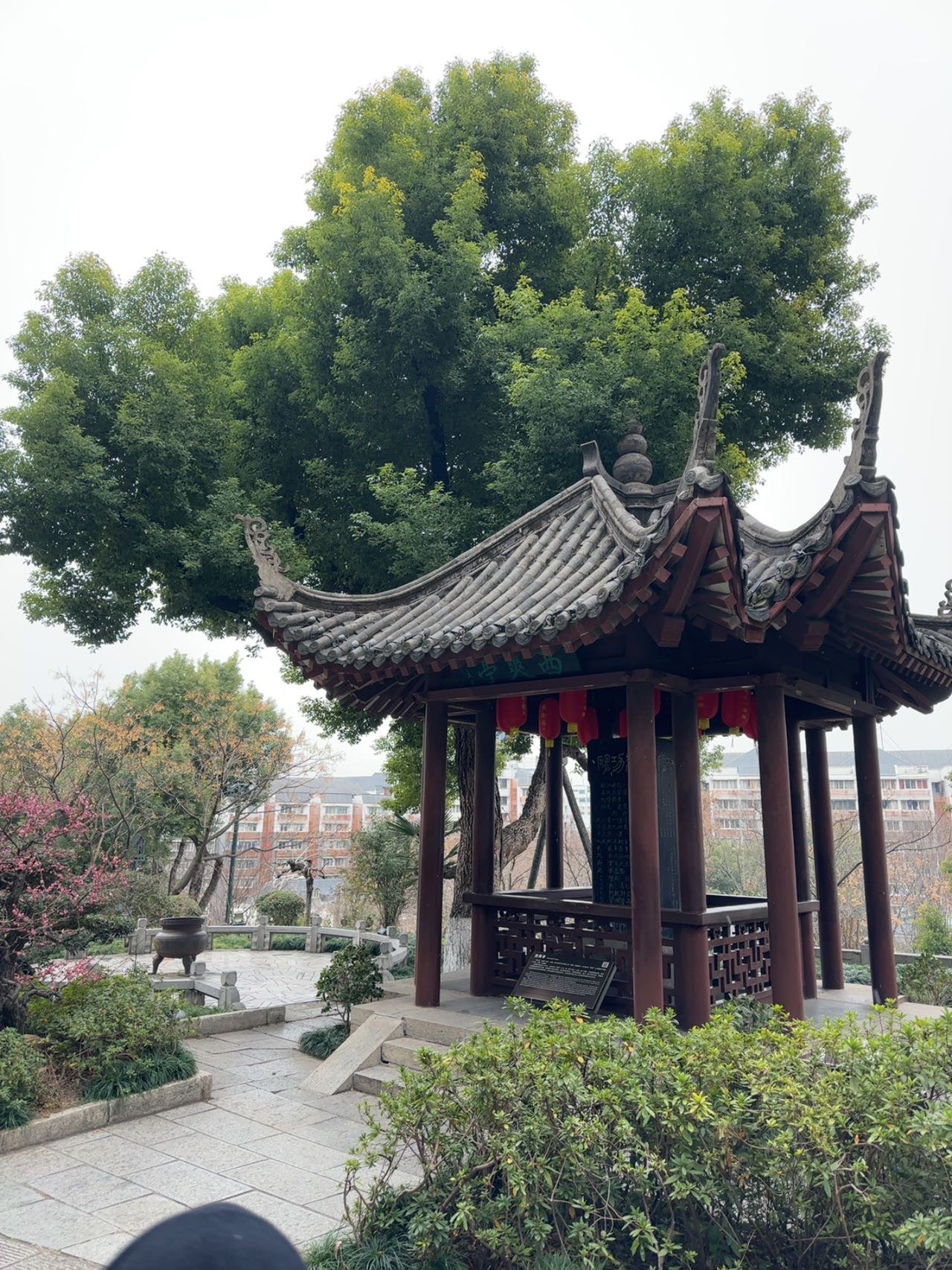 找聊天老伴搭子