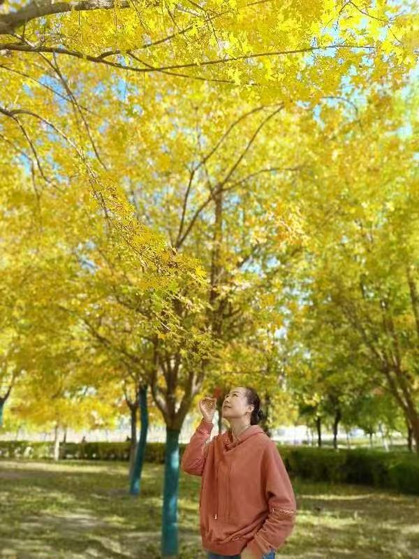 找聊天老伴搭子