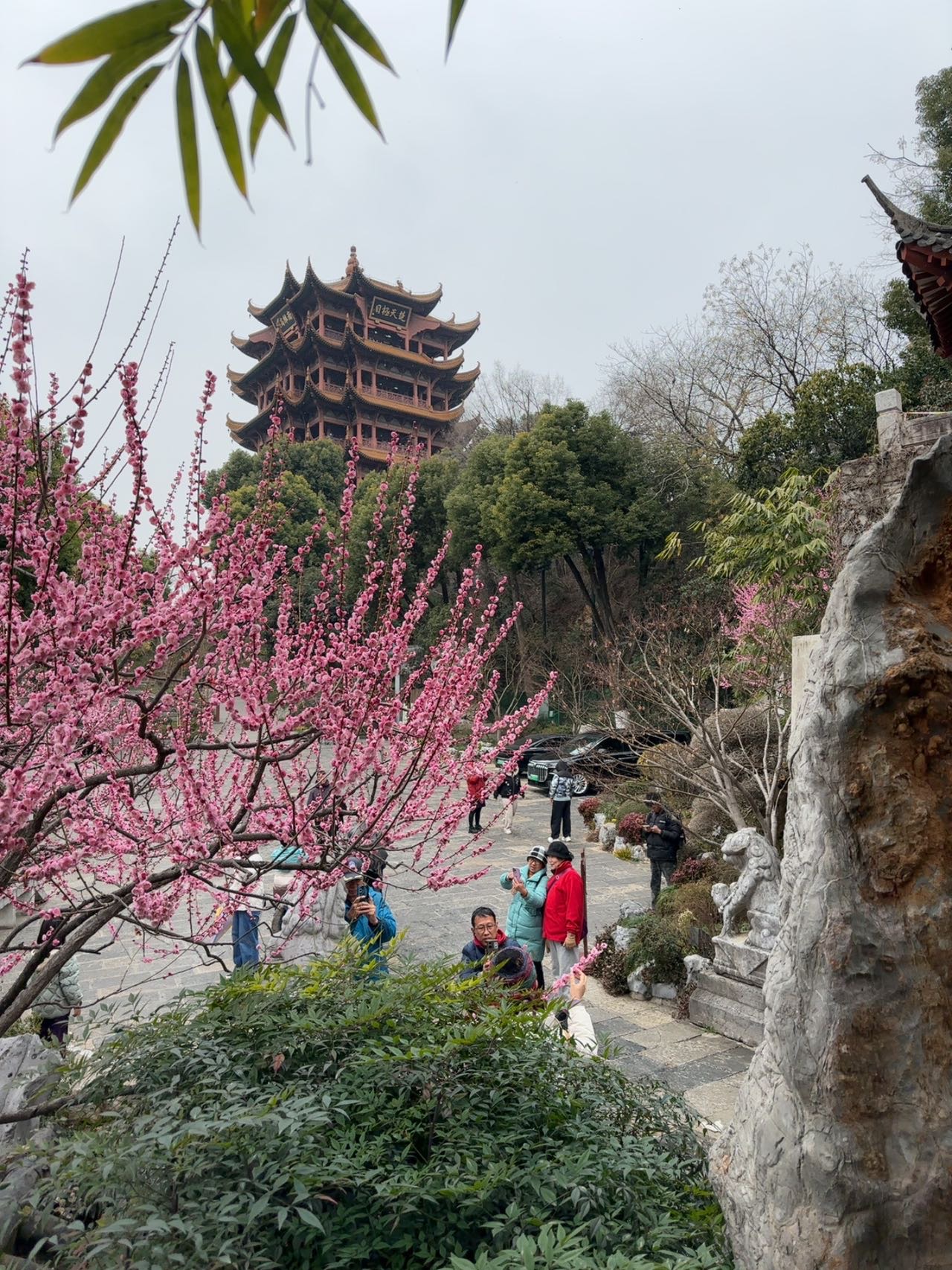 找聊天交友老伴搭子