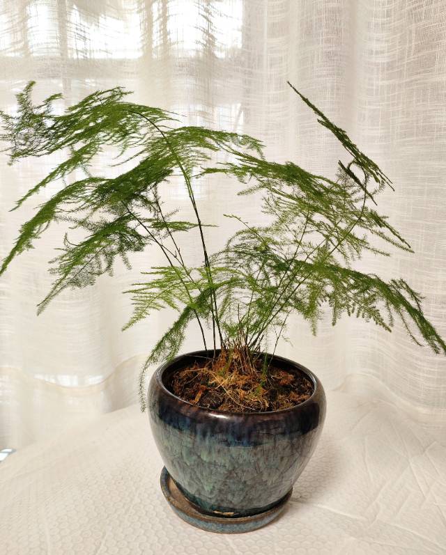 找运动旅游生活老伴搭子