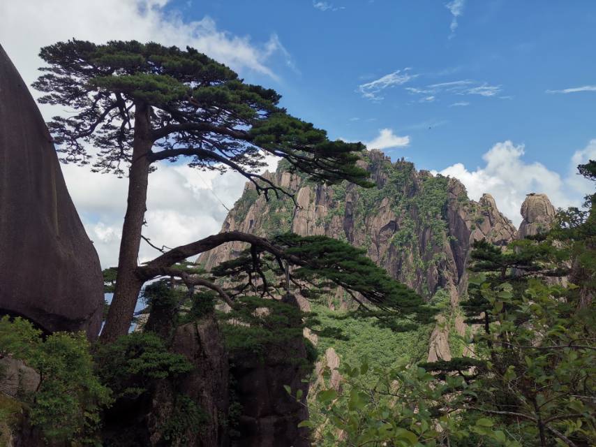 找旅游或自驾游老伴搭子