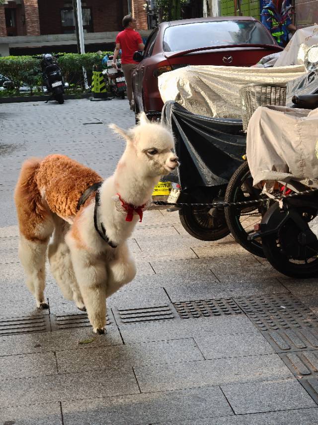 找旅游老伴搭子