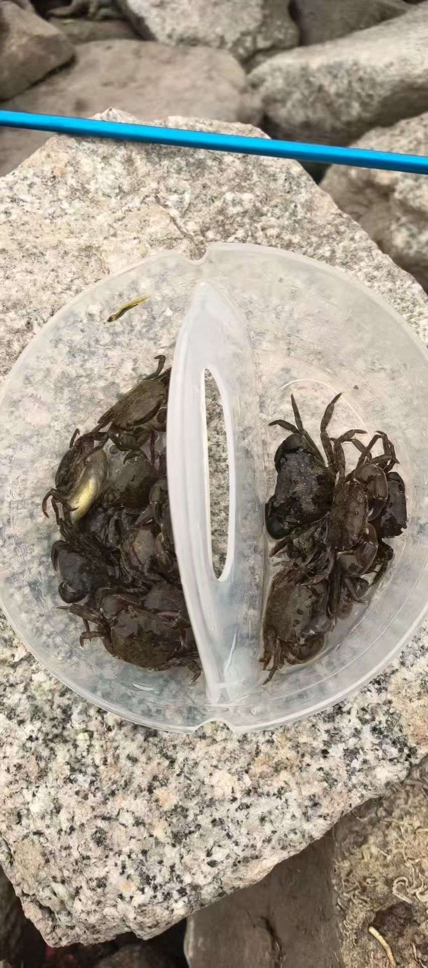 找散步骑行老伴搭子