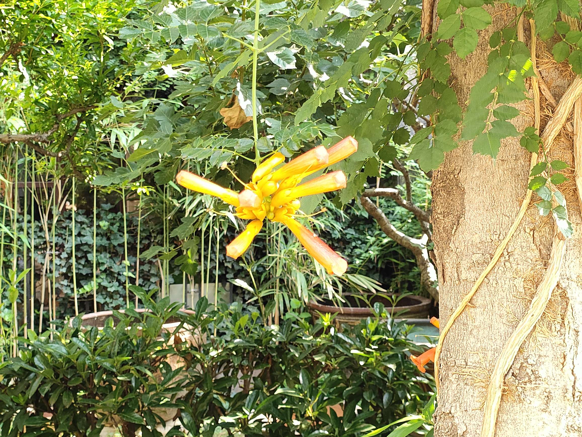 找饭老伴搭子