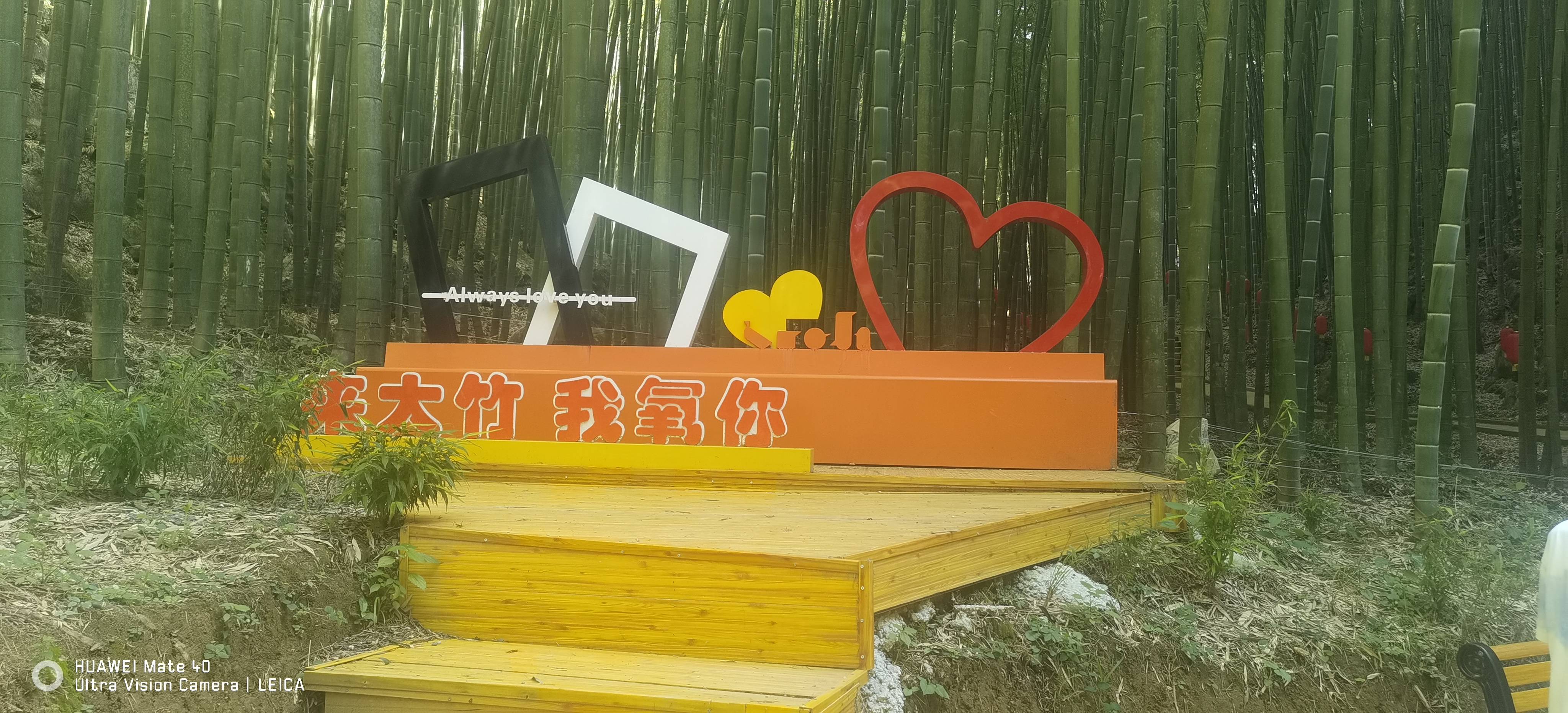 找运动老伴搭子