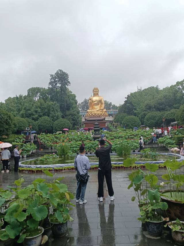 找同频老伴搭子