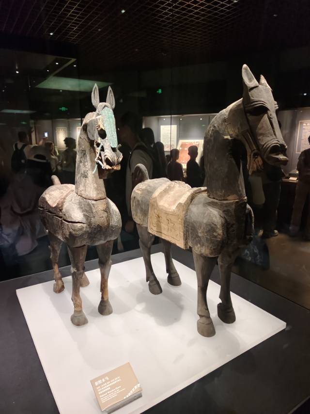 找旅游老伴搭子