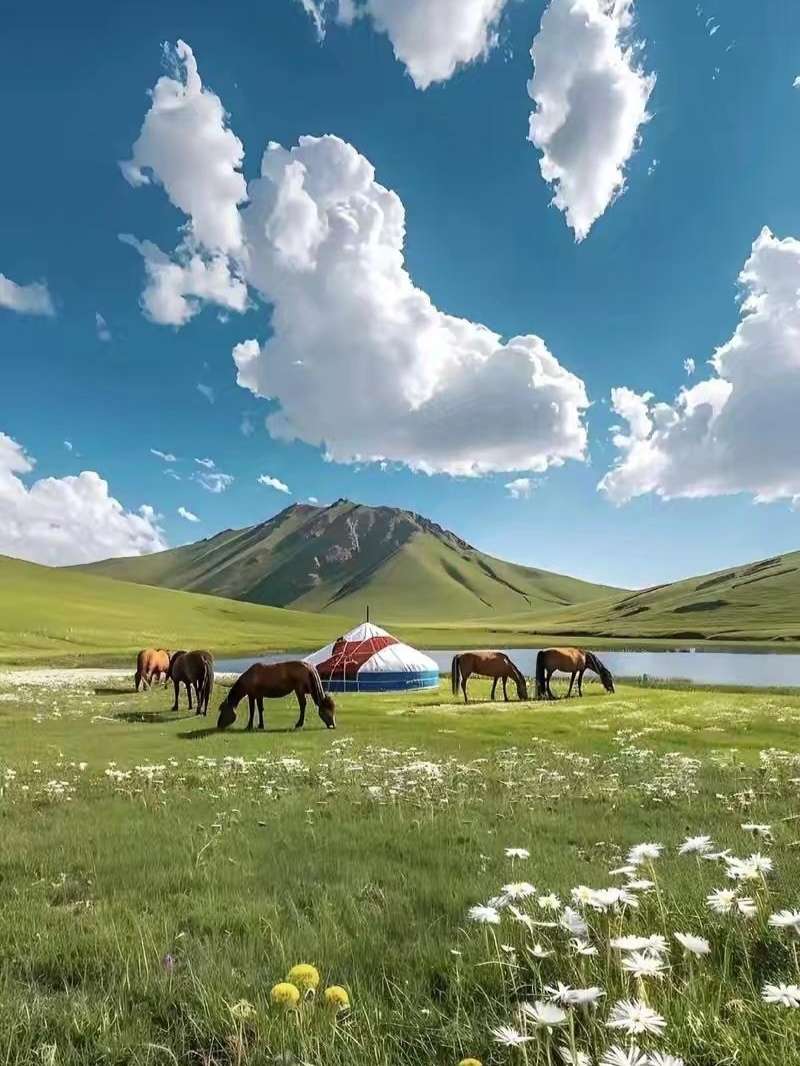 找聊天老伴搭子