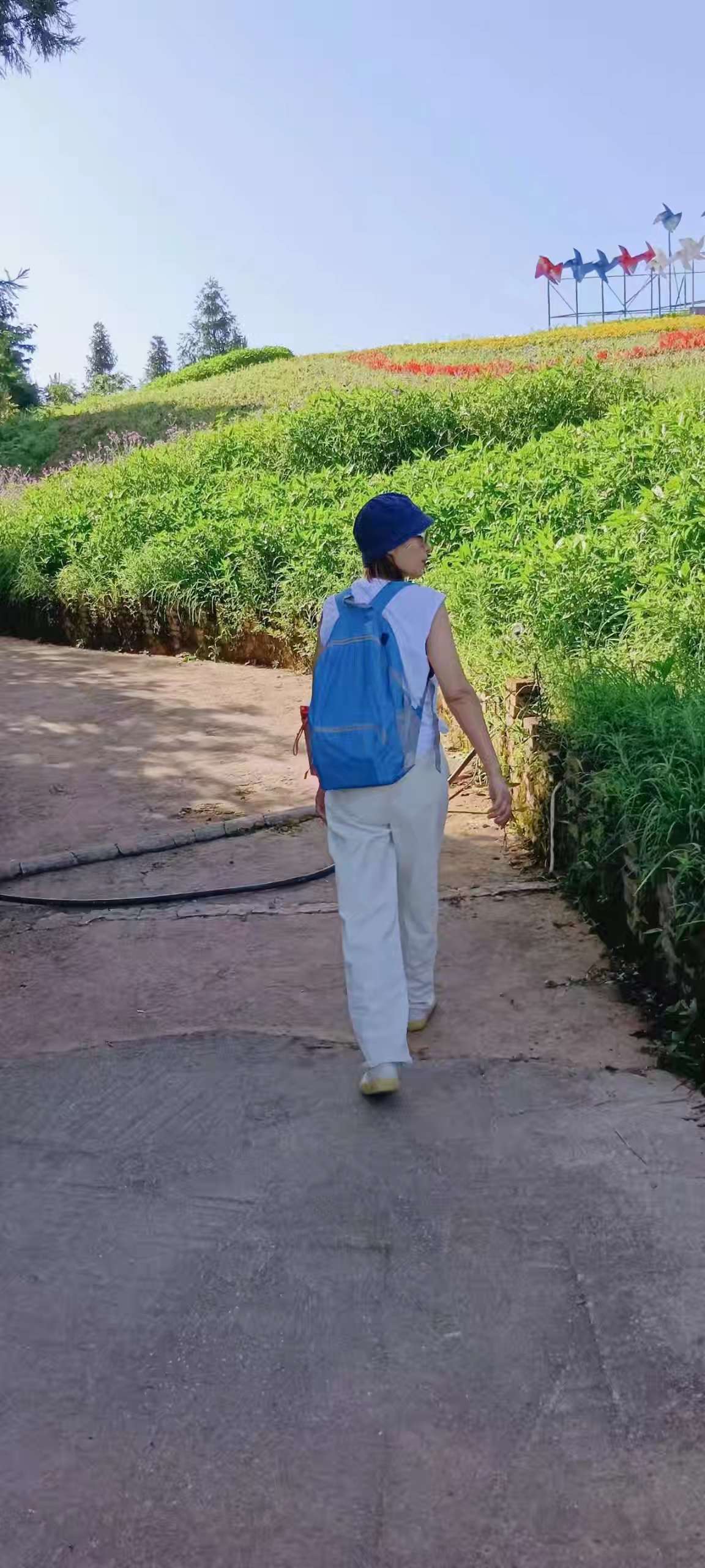 找逛街老伴搭子