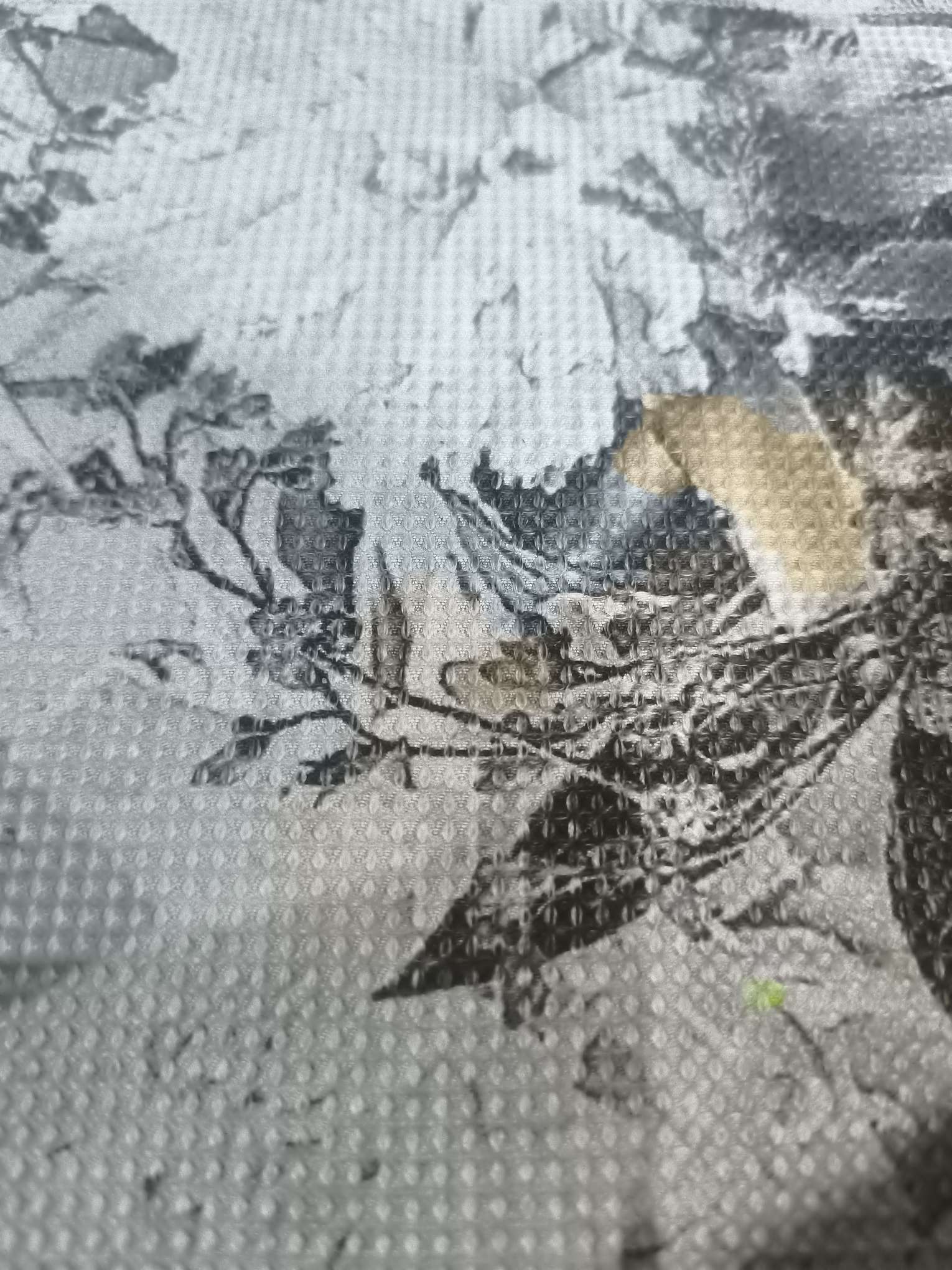 找运动老伴搭子