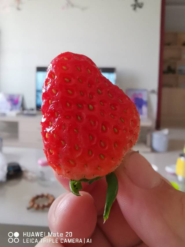找美食老伴搭子