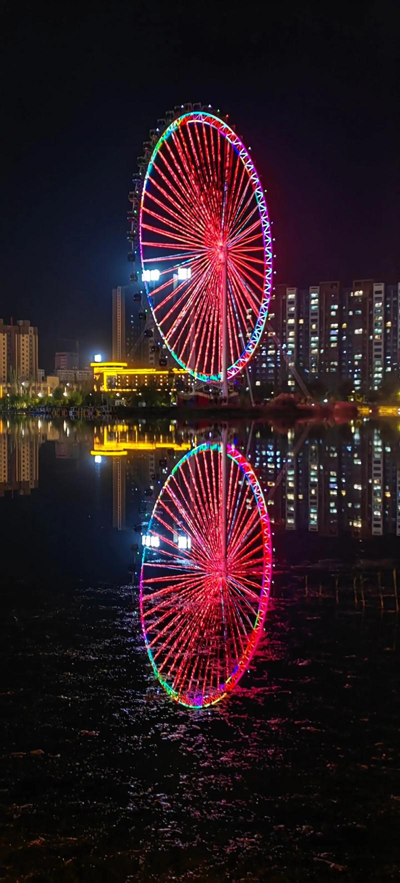 找生活老伴搭子