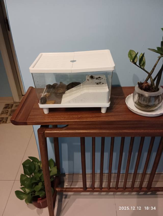 晖伴中老年人找老伴搭子