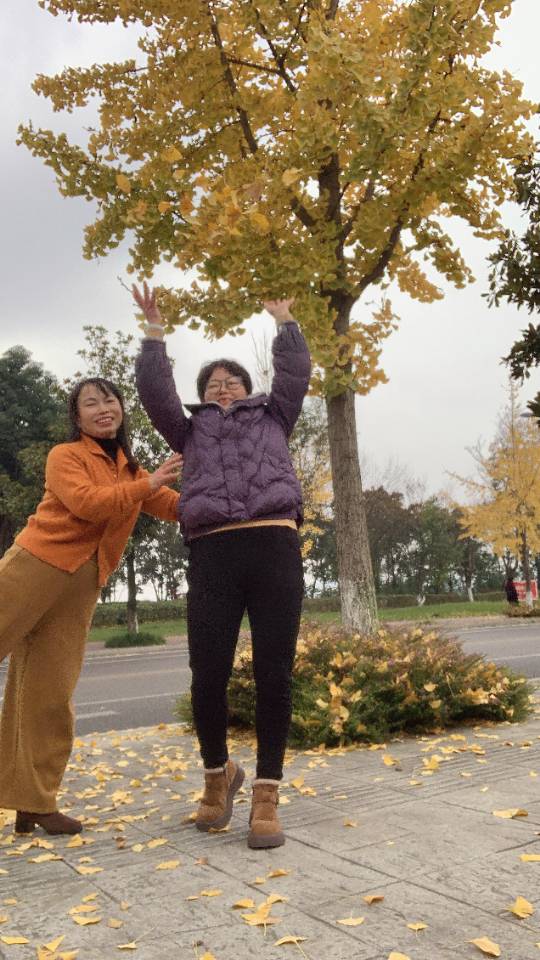 晖伴中老年人找老伴搭子