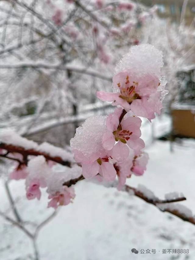 晖伴中老年人找老伴搭子