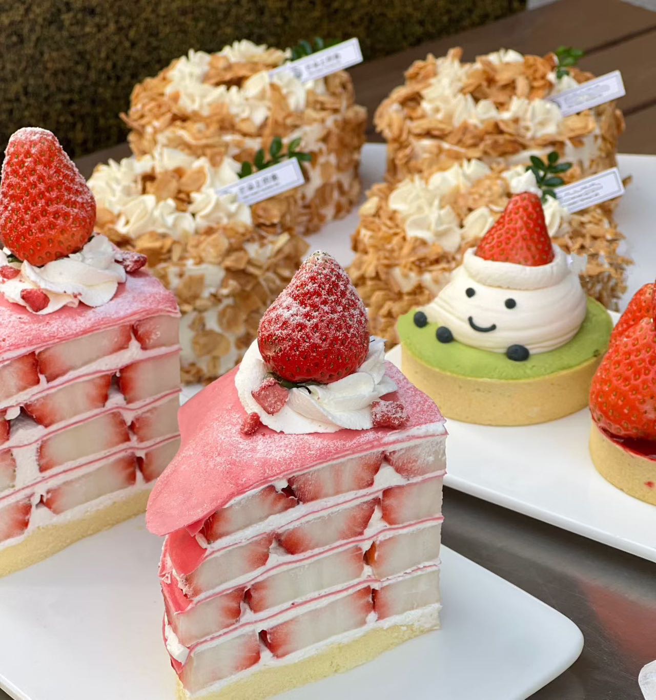 晖伴中老年人找老伴搭子