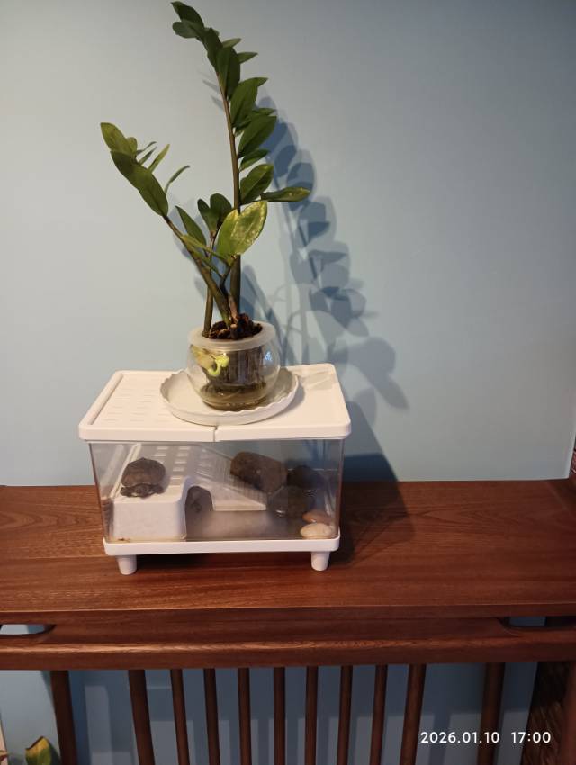 晖伴中老年人找老伴搭子