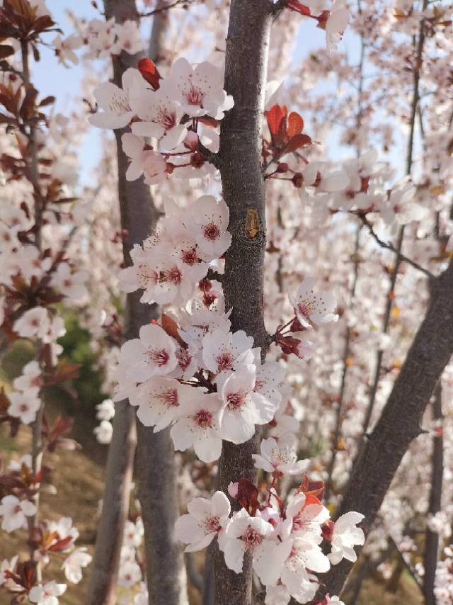 晖伴中老年人找老伴搭子