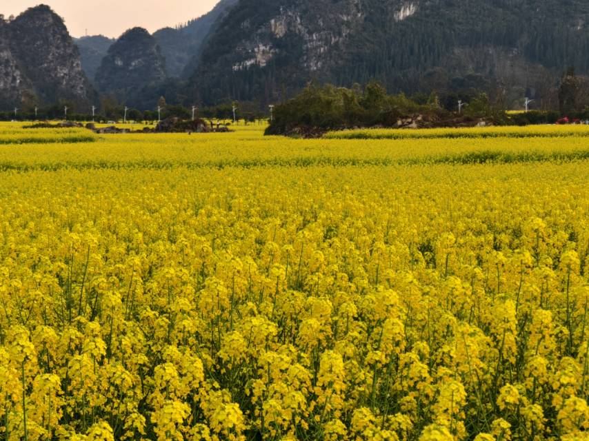 晖伴中老年人找老伴搭子