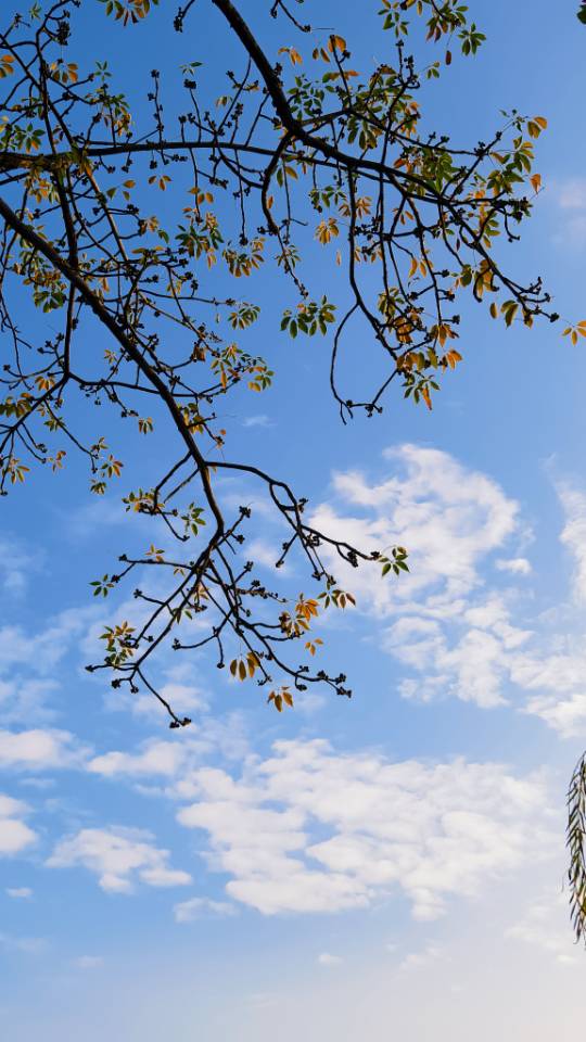 晖伴中老年人找老伴搭子