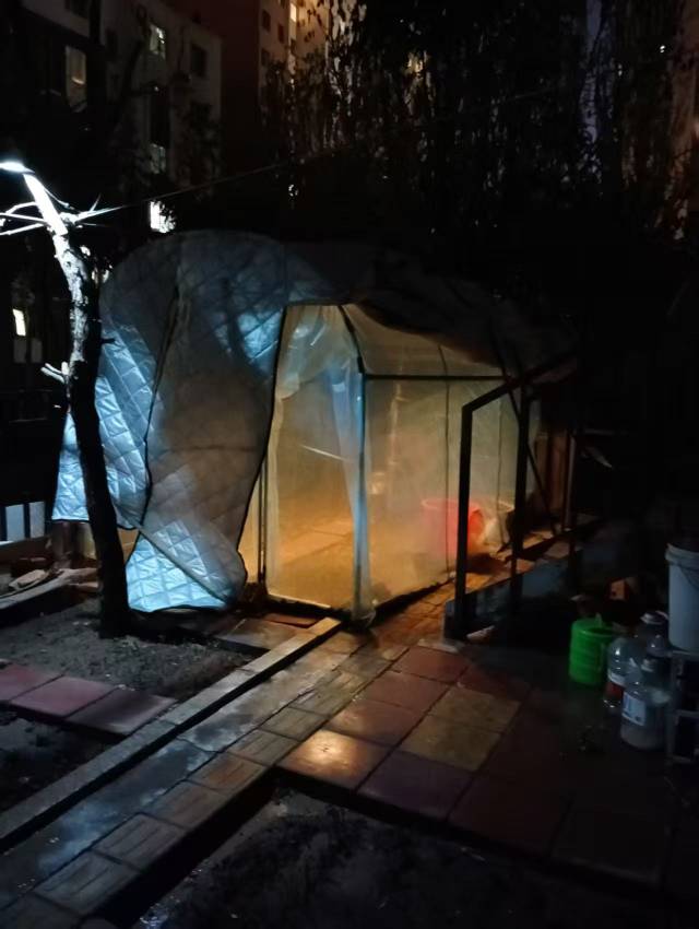 晖伴中老年人找老伴搭子