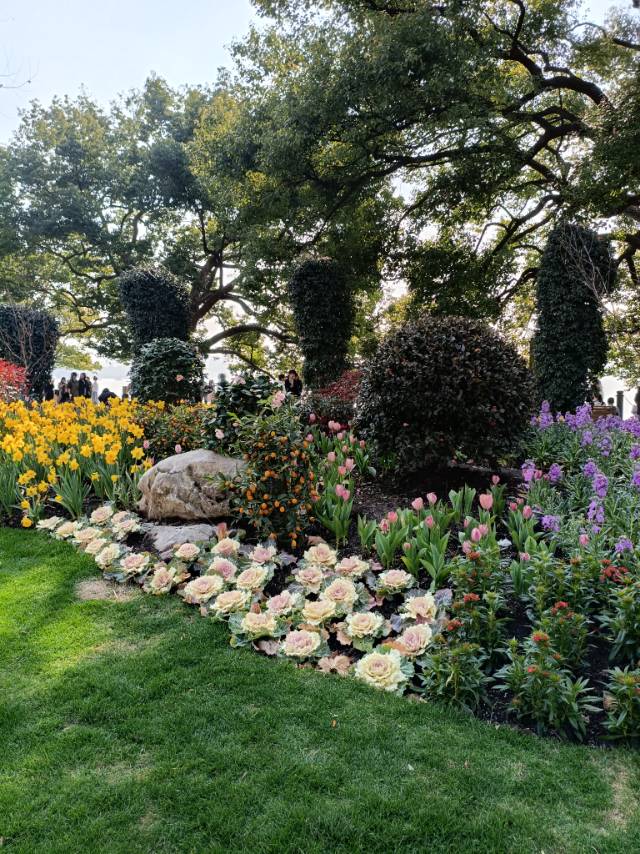 晖伴中老年人找老伴搭子