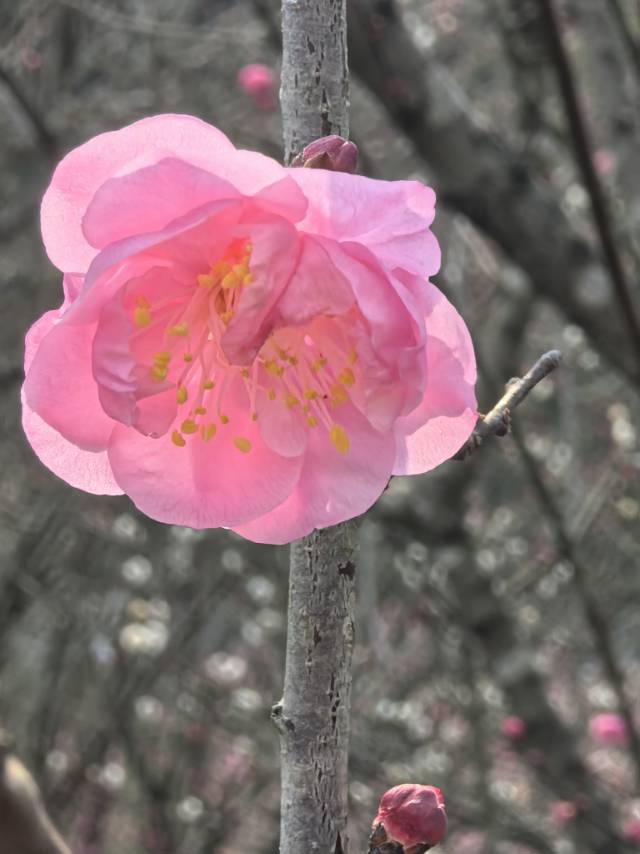 晖伴中老年人找老伴搭子