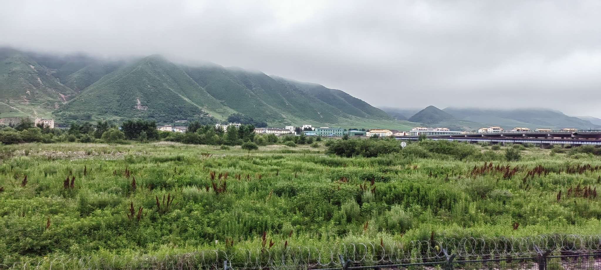 找老伴搭子