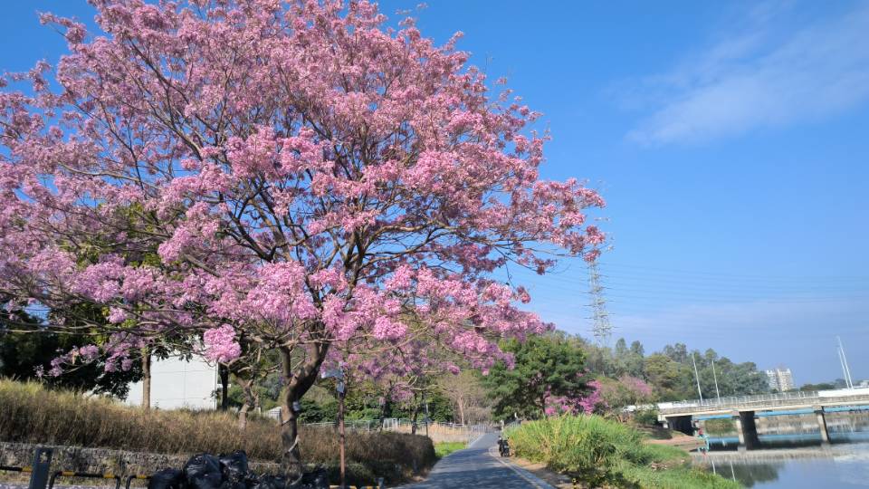 晖伴中老年人找老伴搭子